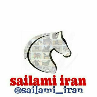 بهترین اسب های ایران