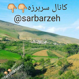 سربرزه