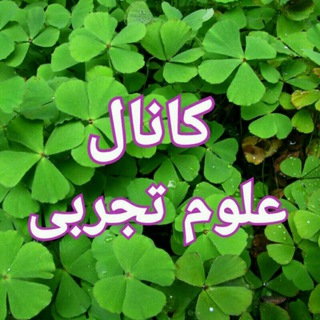 علوم تجربی