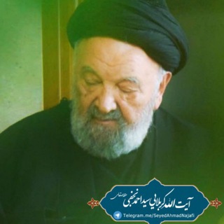 کربلایی سید احمد نجفی