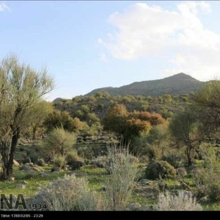 مسیحای هرات