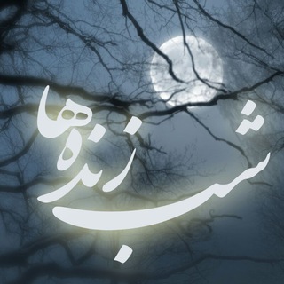 شب زنده ها