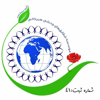 ?شقایقهای وحشی هیرکانی?