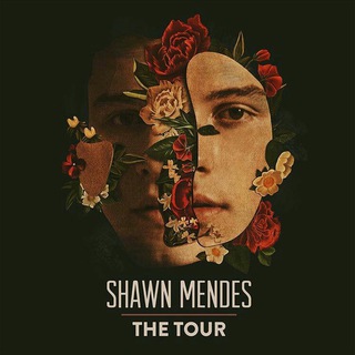 Shawn Mendes - The Tour