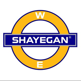 SHAYEGAN INSTITUTE