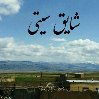 شایق سیتی