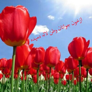 ?️کانال شهـــــــدای خیــج