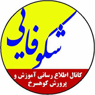 شکوفایی