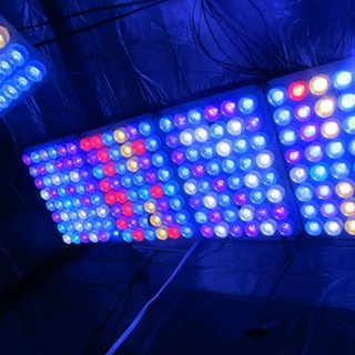 LED Shoping ?