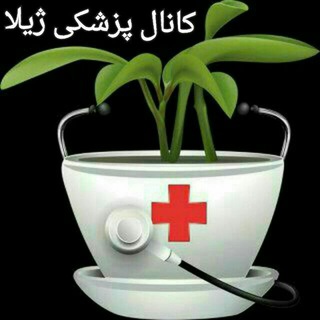 ڪانال پزشڪے ژیلا