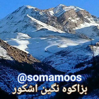 اشـ«(بزاکــوه)»ـکور