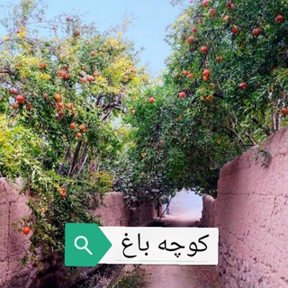 کوچه باغ