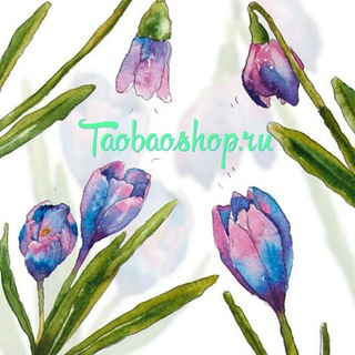 Taobaoshop.ru