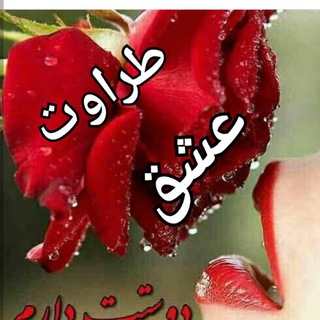 طراوت عشق