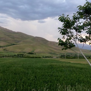 روستای طائمه نهاوند