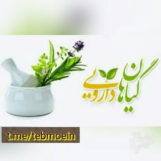 موسسه گیاهان دارویی معین و باشگاه ورزشی تکتا