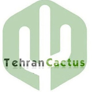 Tehran cactus