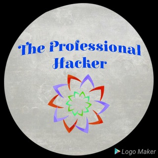 The Professional Hacker