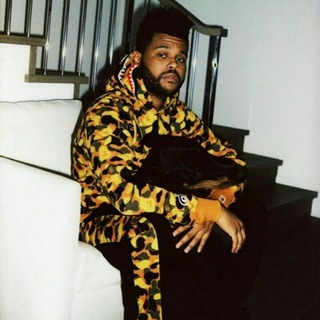 The Weeknd XO