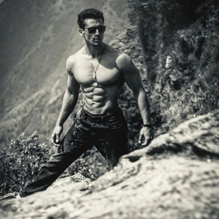 Tigershroff ?