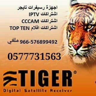 اشتراكات IPTV رسيفرات تايجر