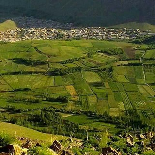 کانال رسمی ونایی