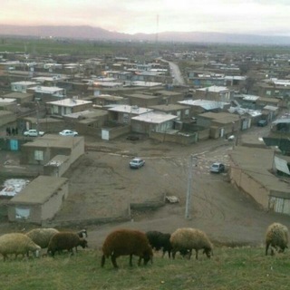 کانال رسمی روستای وندرآباد