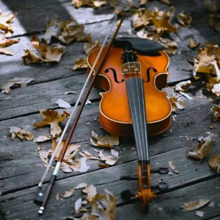 ویولن من|violinman