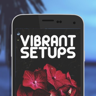 Vibrant Setups