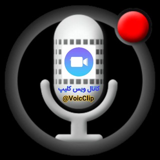 VoiCClip