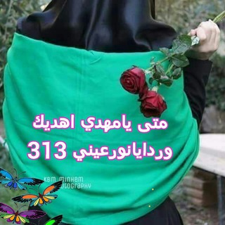 يوسف فاطمه313