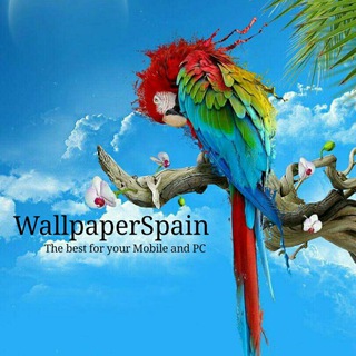 @WallpaperSpain