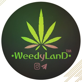 •••Weedyland•••