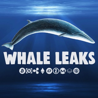 @whaleleaks™