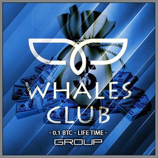 Whales Club VIP TESTIMONIALS