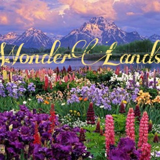 ?WONDER_LANDS?