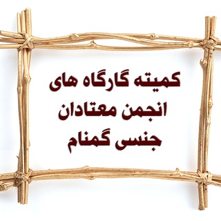 کمیته کارگاه های SA