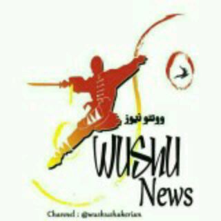 ☆Wushu News☆