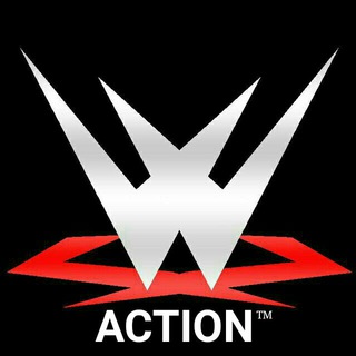 ?WWE ACTION™?