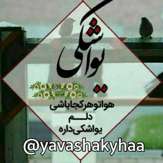 یواشکی ها