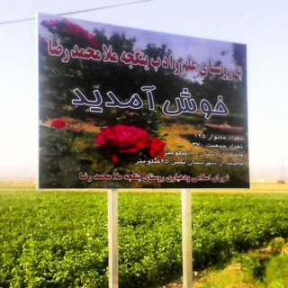 ینگجه ملا محمد رضا ( روستای علم و ادب )