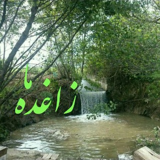 زاغده ما