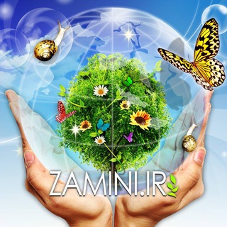 Zamini.ir