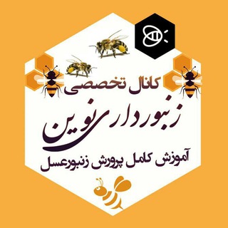 زنبورداری نوین