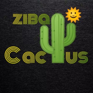 ? ziba cactus ?