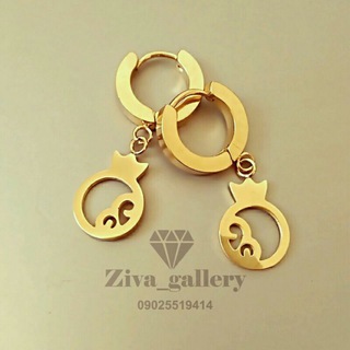 Ziva_gallery