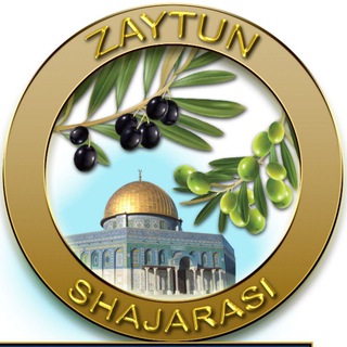 Zaytun shajarasi